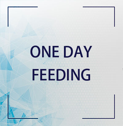 MMI Software only One Day Feeding